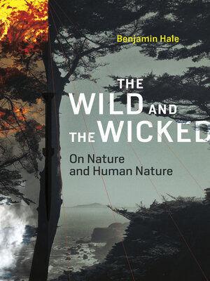 cover image of The Wild and the Wicked
